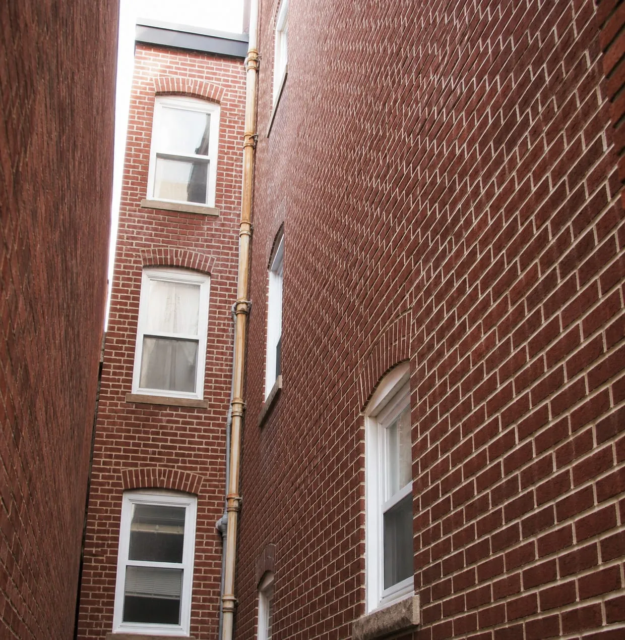 Looking up a narrow gap between two Capitol Hill rowhomes at restored brickwork and arched window heads